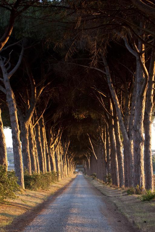 Agriturismo Pantano Borghese Monte Compatri Екстер'єр фото