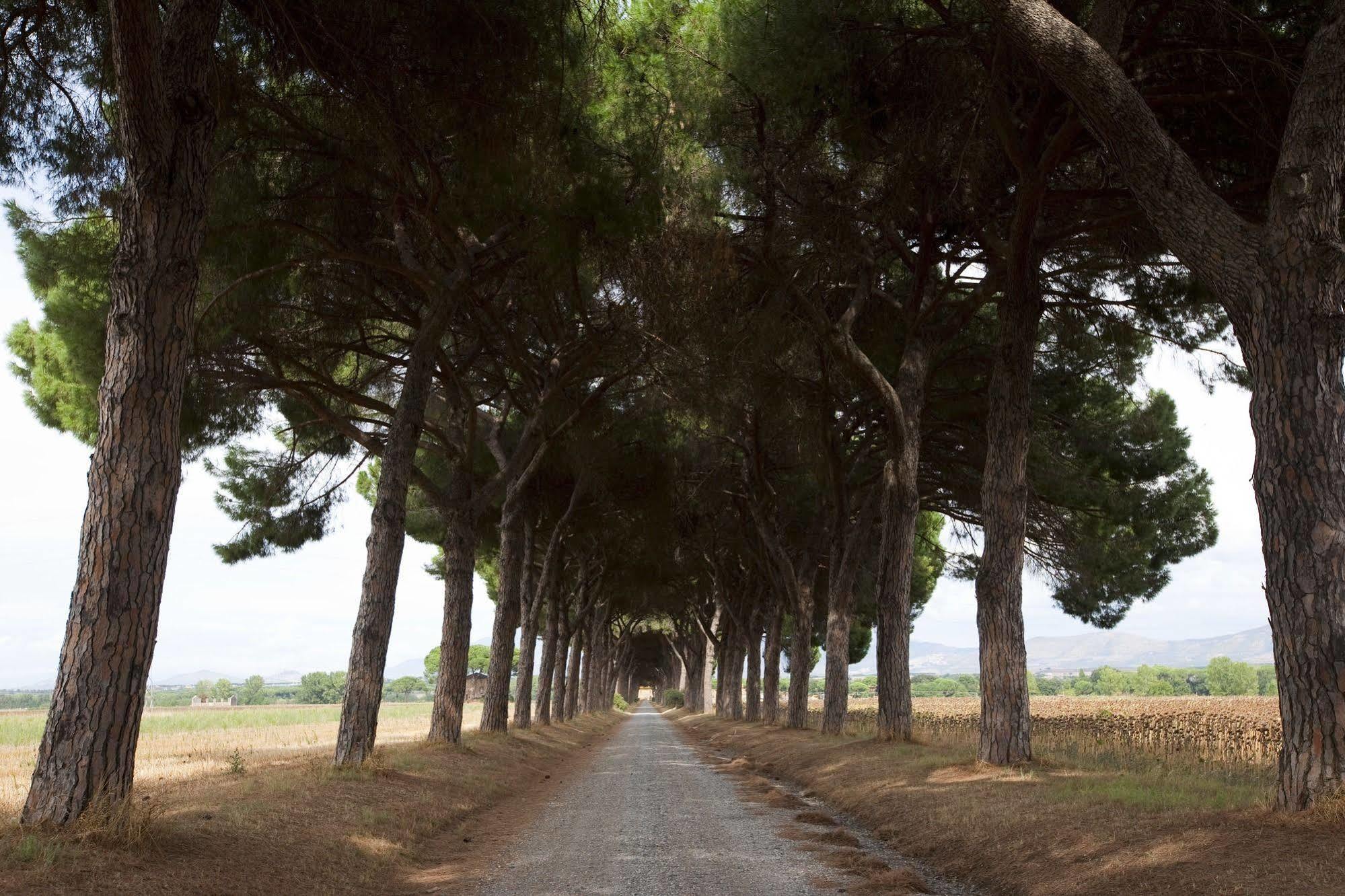 Agriturismo Pantano Borghese Monte Compatri Екстер'єр фото